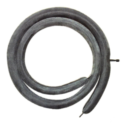 Lineatube Chambre à Air Linéaire Valve Schrader 20 à 29" Largeur 28 à 47 Mm