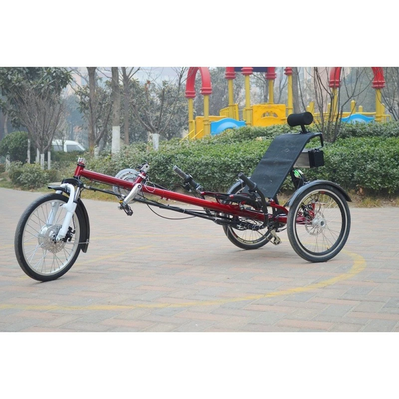 Funecobikes Confort Trike Speeder 5 Funecobikes Confort Trike Speeder – Image 3