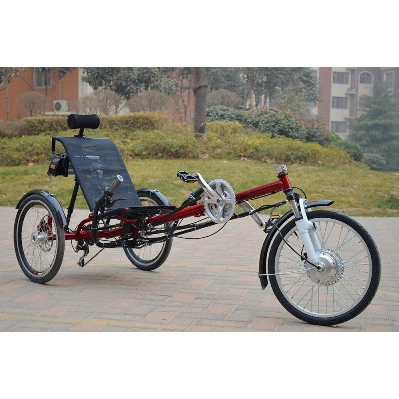 Funecobikes Confort Trike Speeder 3 Funecobikes Confort Trike Speeder