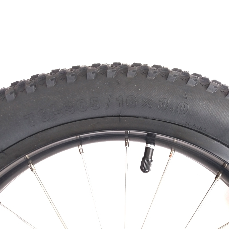 Burley Roue Rayonnées Avec Pneus 16'' Fat Bike Pour Remorque Vélo 4 Burley Roue Rayonnées Avec Pneus 16'' Fat Bike Pour Remorque Vélo – Image 2